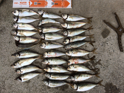 ジメジメ吹っ飛ばすライトゲーム！