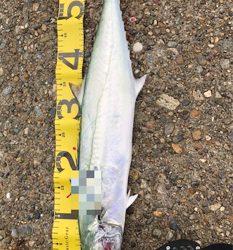 自己新記録達成