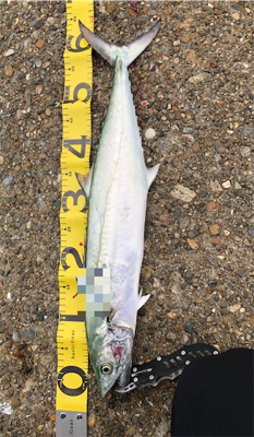 自己新記録達成