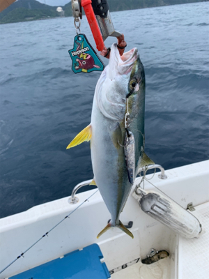 マイボート祝日釣行