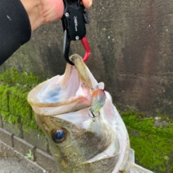 梅雨の中休みに!