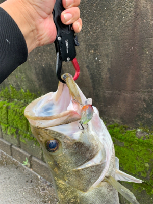 梅雨の中休みに！