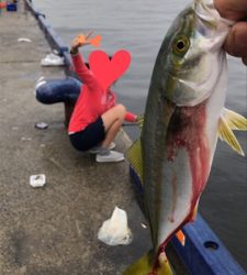 昼ツバス＆サビキ