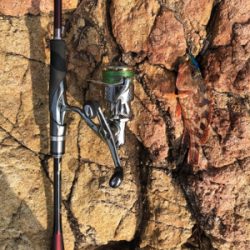 エギング→ジギング