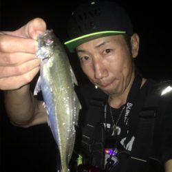 中アジ爆釣!GUNNING-STYLE