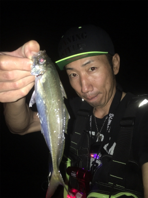 中アジ爆釣！GUNNING-STYLE