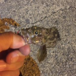 久しぶりの釣行