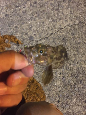 久しぶりの釣行