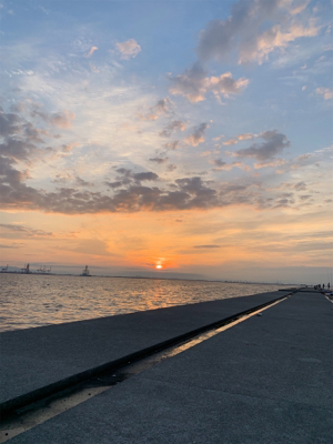 神戸沖突堤でタコ、タチウオ調査