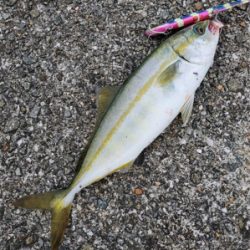 初めてのミニ波止で