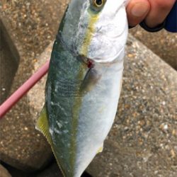 ツバッシング〜