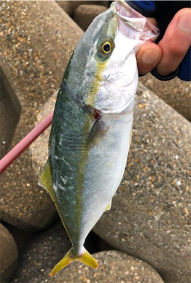 ツバッシング〜