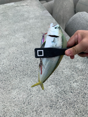 ぺんぺんと巨エソ