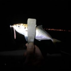 なんとか2桁アジング