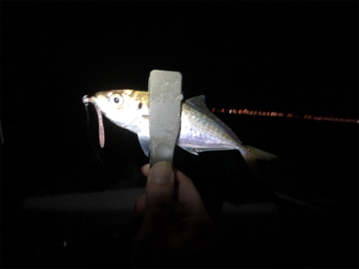 なんとか2桁アジング