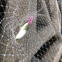 レンジって大事❗️