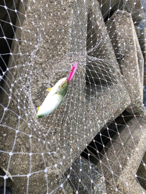 レンジって大事❗️