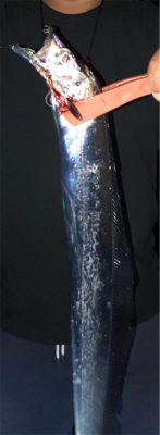 初投稿失礼します。