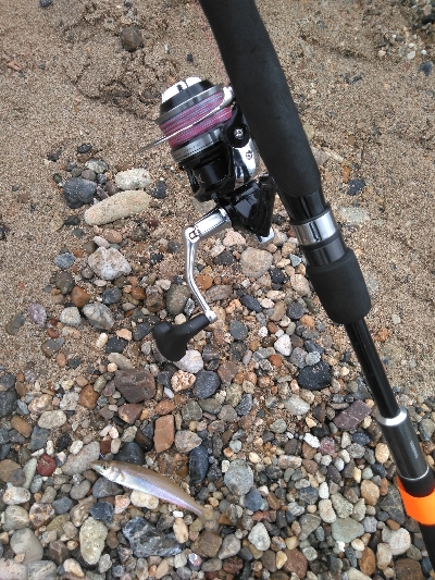 遠投したものの不発