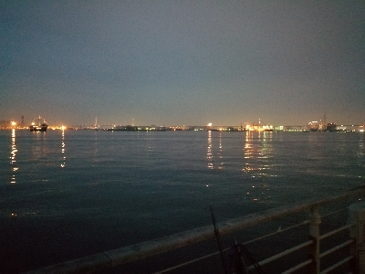 タコ→シーバス→タコ