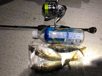 アジング アジング 楽しいな