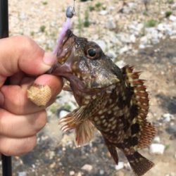 【要注意!!】針・糸放置の被害発見