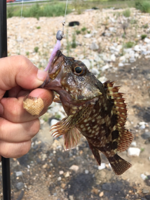 【要注意！！】針・糸放置の被害発見