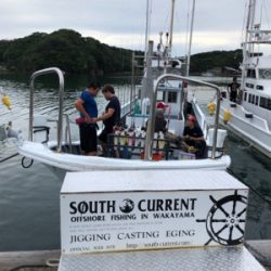 和歌山イカメタル