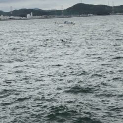 ひさびさに釣り