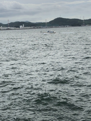 ひさびさに釣り