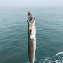 五目釣りならず…