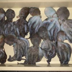 とうとう、爆ったよ！