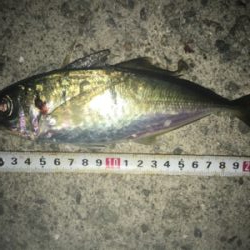 貝塚ライトゲーム