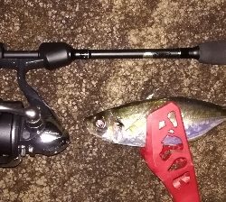 アジンガー1900〜2145