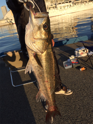 イソメ4本掛けにヒット！！！