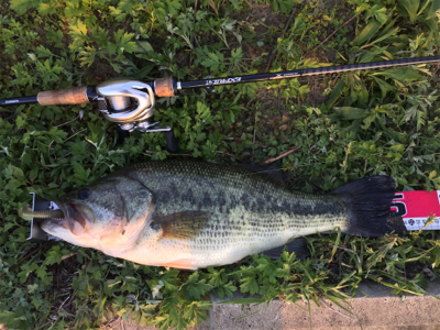 旧吉にてナイスサイズ