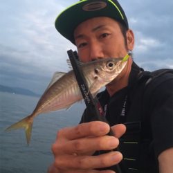 夕まずめアジングゲーム☆GUNNING-STYLE