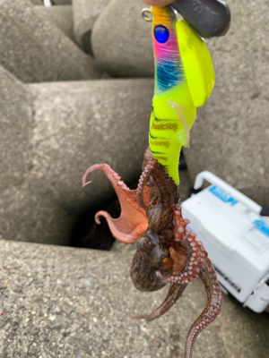 賑やか海から、一転して。