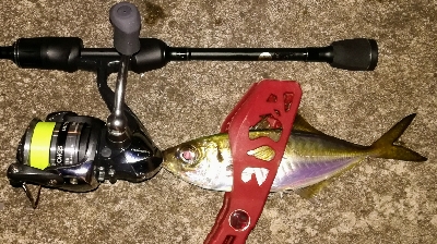 アジンガー1905〜2140