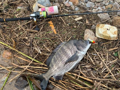 遠征したものの