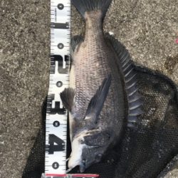 落とし込み特訓