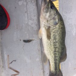 去年より渋くなった!?