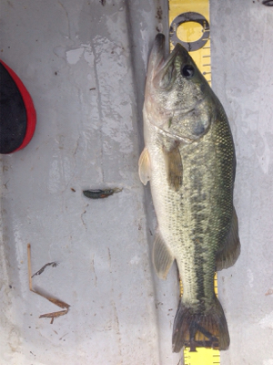 去年より渋くなった!?