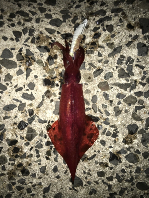 渋いけどなんとか3杯