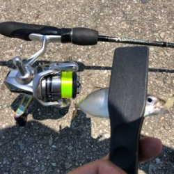 アジング からの