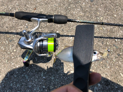 アジング からの