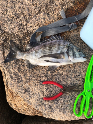 いい濁りで高活性！