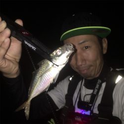 アジング釣行〜☆GUNNING-STYLE