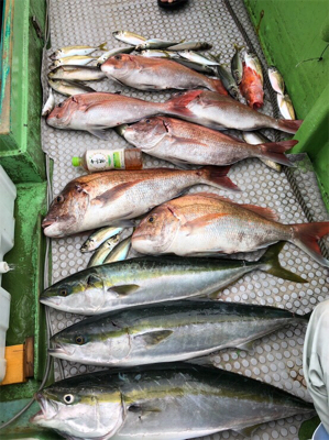 孝洋丸 落とし込み