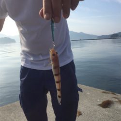 山田〜大船渡にて